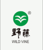 重庆野山珍商贸有限公司|喻之味|野藤官方网站