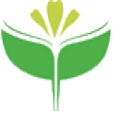 方底阀口袋_多层纸袋_化工包装纸袋-深圳市同颖环保包装科技有限公司