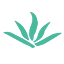 桑榆未晚业务管理系统