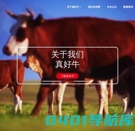 真好牛（深圳）科技有限公司-真的好牛！