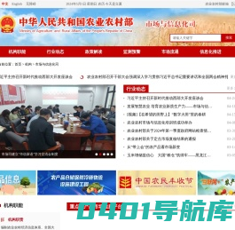 市场与信息化司