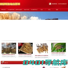 冬虫夏草的功效与作用及食用方法_那曲虫草价格_索朗顿珠冬虫夏草