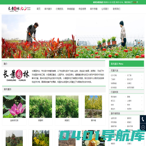 [长景园林] 苗木批发基地-绿化公司-提供苗木报价-品种名称图片查询