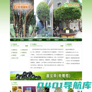 厦门爱自然都市农业科技有限公司--嘉宝果农场--福建漳州嘉宝果(树葡萄)农场 咨询热线4000-975-168