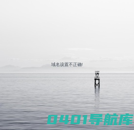 域名设置错误