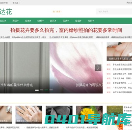 易达鲜花网-花草知识分享平台