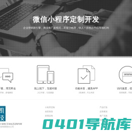 天津瑞凯科技有限责任公司