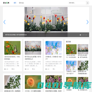 蒜之花网-探索丰富多彩的花卉世界
