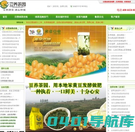 日照绿茶_日照绿茶价格_东海凝翠_日照绿茶直销网