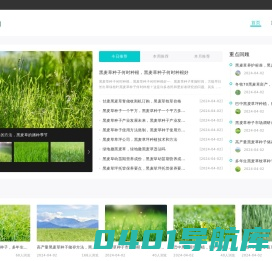 增润黑麦草_黑麦草种子_黑麦草种植_增润草_赠送黑麦草种植技术_湖南增润农业有限公司