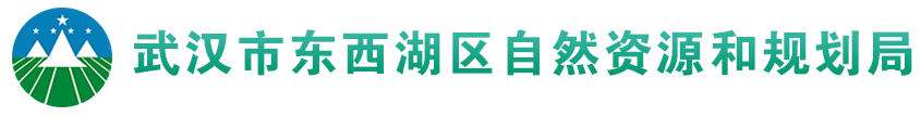 武汉市东西湖区自然资源和规划局
