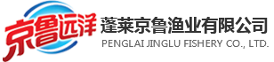 京鲁渔业|冷冻调理水产品