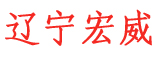 辽宁宏威信息科技有限公司