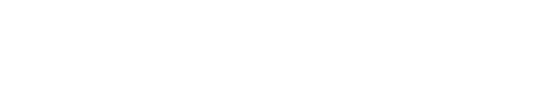 艾科朗克 (AcceleCom) 信息科技有限公司