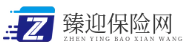 义乌市臻迎电子商务商行 -