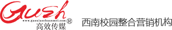 成都高效传媒_营销活动_西南活动公司_西南整合营销机构
