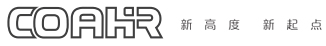 蓝色愿景集团-中国唯一的汽车全价值链解决方案咨询供应商