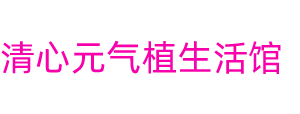 西安国际港务区清心元气植生活馆