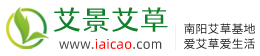 艾草网 - 艾条艾柱艾灸盒，南阳艾草批发交易平台