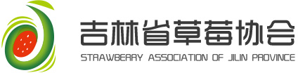 首页_吉林省草莓协会1