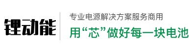 武汉锂动能电动科技有限公司