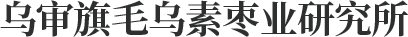 蒙枣科技|内蒙古红枣种植|内蒙古枣树苗种植|内蒙特产蒙枣情饮品|内蒙特产枣茶-乌审旗顺发种植合作社