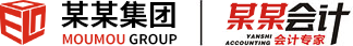 某某财务有限公司