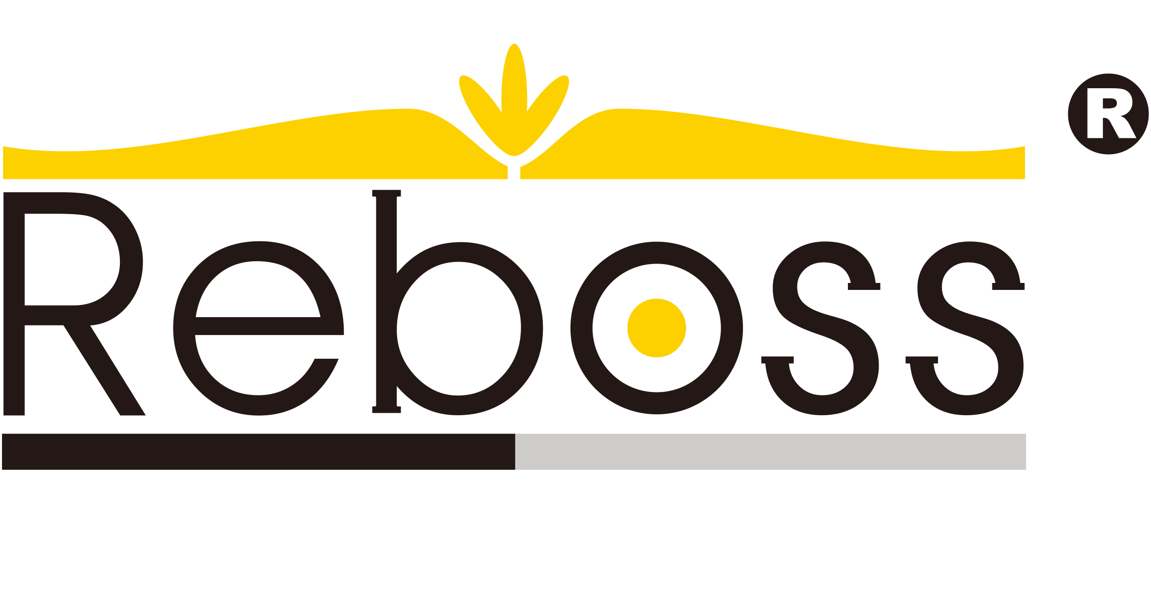 Reboss Canopy 、Car Shade、 Patio、carport