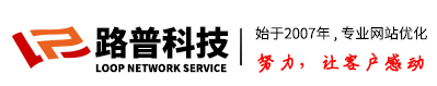 郑州seo_15年网站优化和网站推广经验【路普河南网络推广公司】