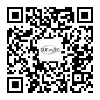 上海利莱网络科技
