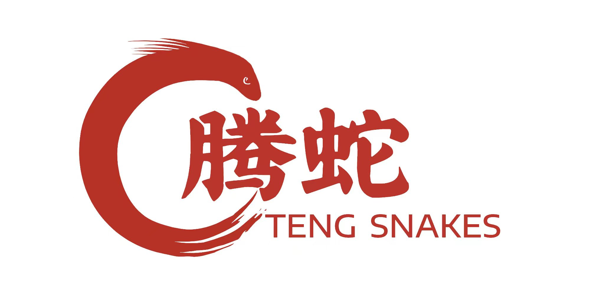 腾蛇网络