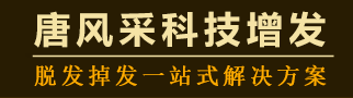 太原织发,太原补发,太原织发补发,太原假发-太原唐风采