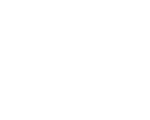大首席科技