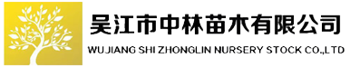 弗吉尼亚栎-黄金杉-金叶水杉-枫树-吴江市中林苗木有限公司