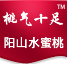 阳山水蜜桃_桃树苗_无锡阳山水蜜桃苗-唐氏果园