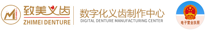 西安致美齿科技术发展有限公司
