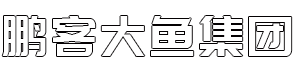 成都鹏客大鱼科技集团有限公司