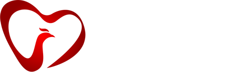 经彩网络 钻之语 - 钻之语 心相许