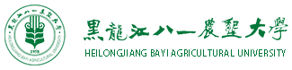 新闻网