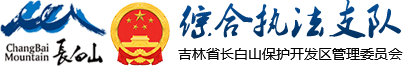 综合执法支队
